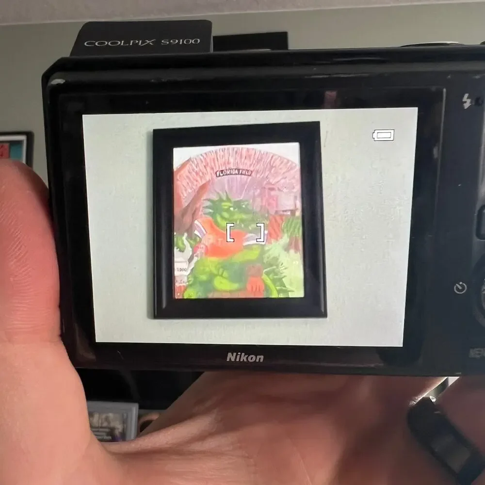 Nikon capture stunning